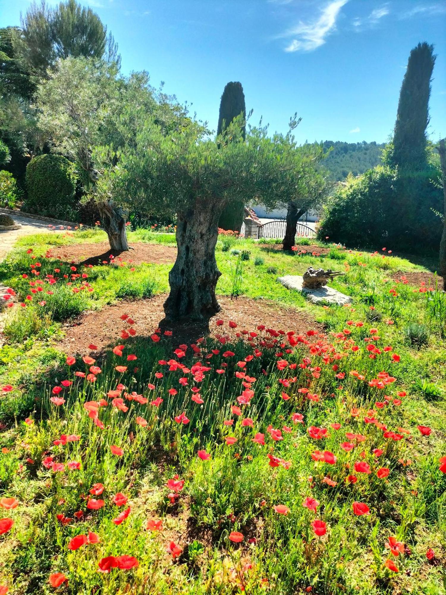 Vacances Carnoux-en-Provence Eksteriør bilde